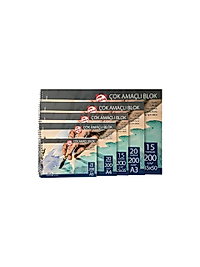 Talens Çok Amaçlı Blok 200 gr 15 yaprak A4 cm