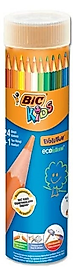 BIC KURU BOYA EVOLUTION 24+1 TÜP 958190