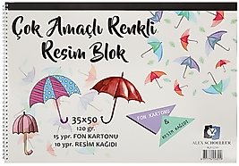 ALEX RESİM DEFTERİ 35x50 120 GR SPR. RENKLİ 25 Lİ ALX-0299