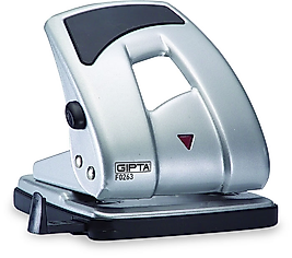 GIPTA DELGEÇ 40 YAPRAK METALİK GÜMÜŞ F0263